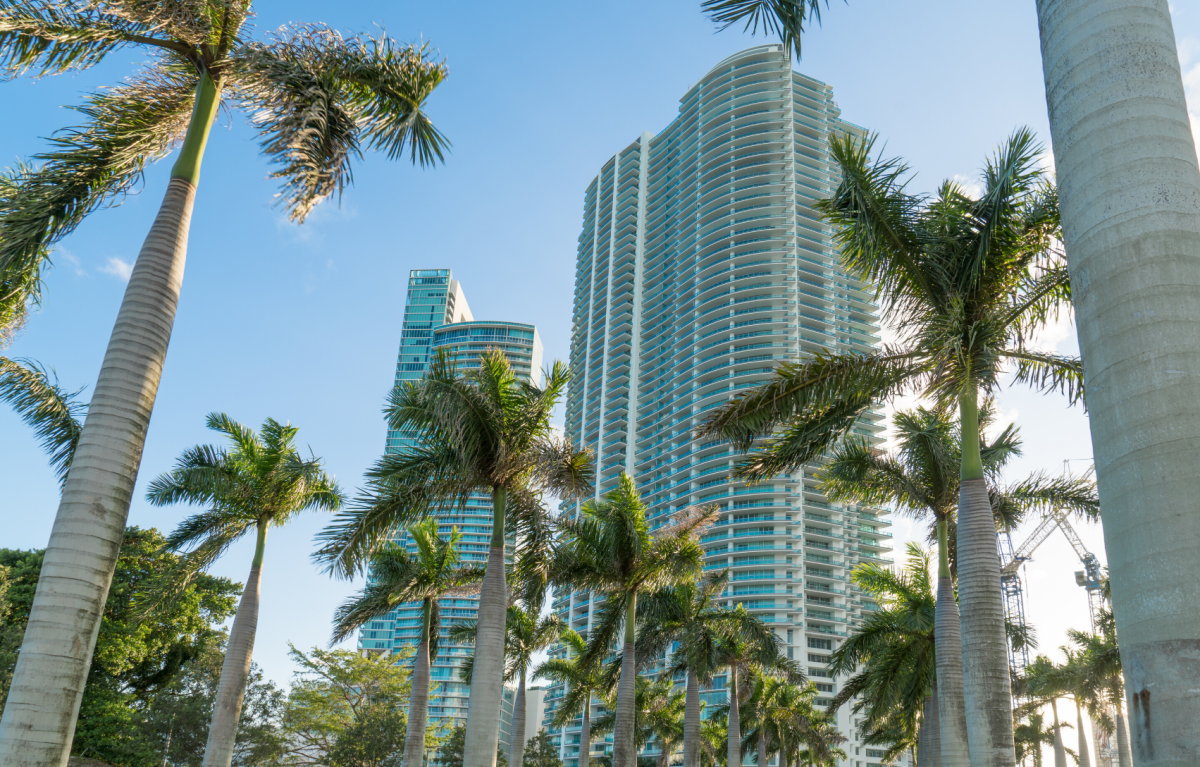 Copy of BIPAC LOGO (7) Palm trees and high-rise buildings in Miami
